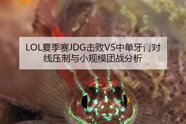LOL夏季赛JDG击败V5中单牙膏对线压制与小规模团战分析